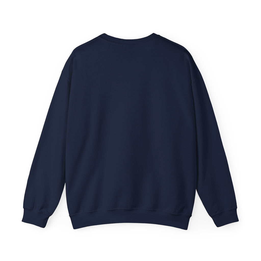 Sweat boussole aventure vintage — D78 Urban Nomad