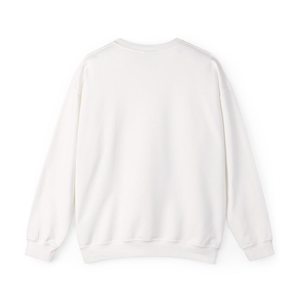 Sweat boussole aventure vintage — D78 Urban Nomad