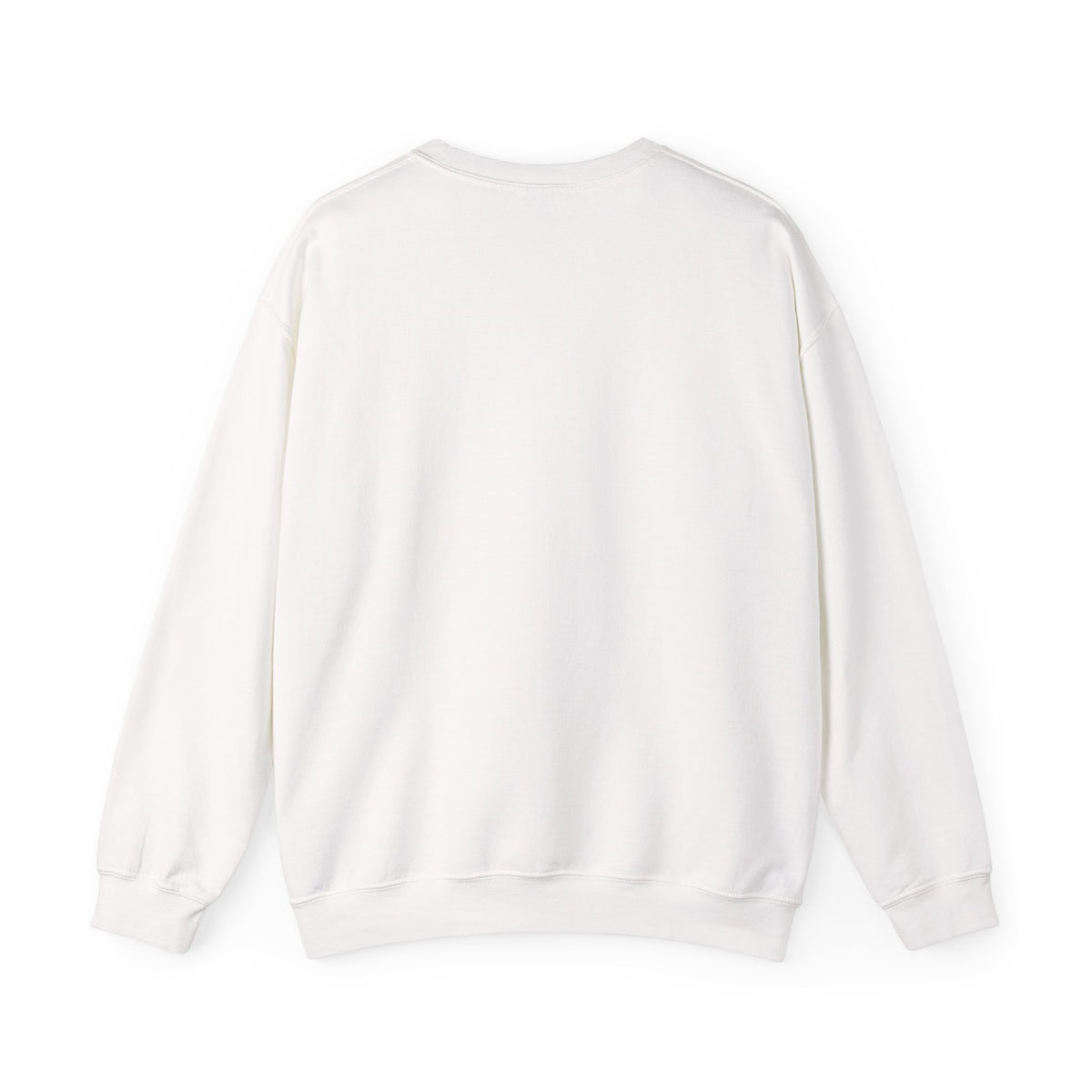 Sweat boussole aventure vintage — D78 Urban Nomad
