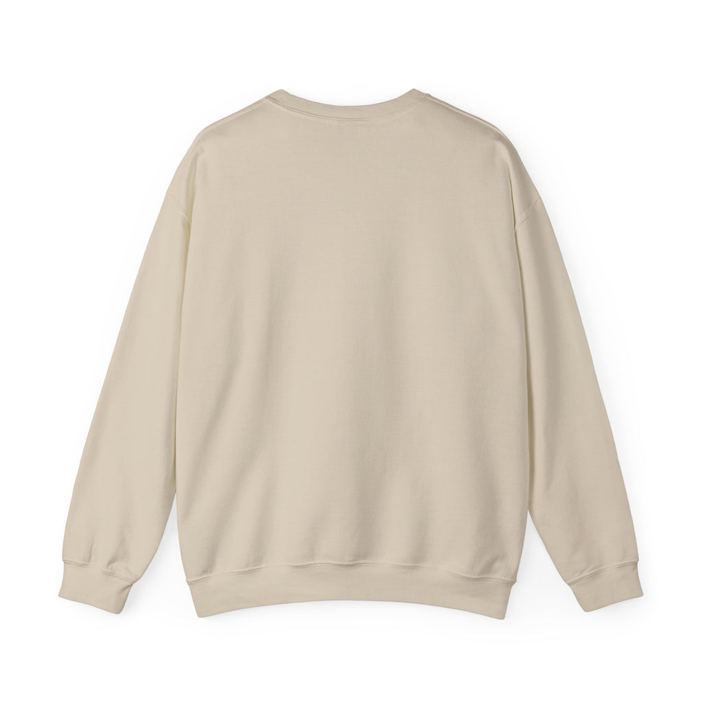 Sweat boussole aventure vintage — D78 Urban Nomad